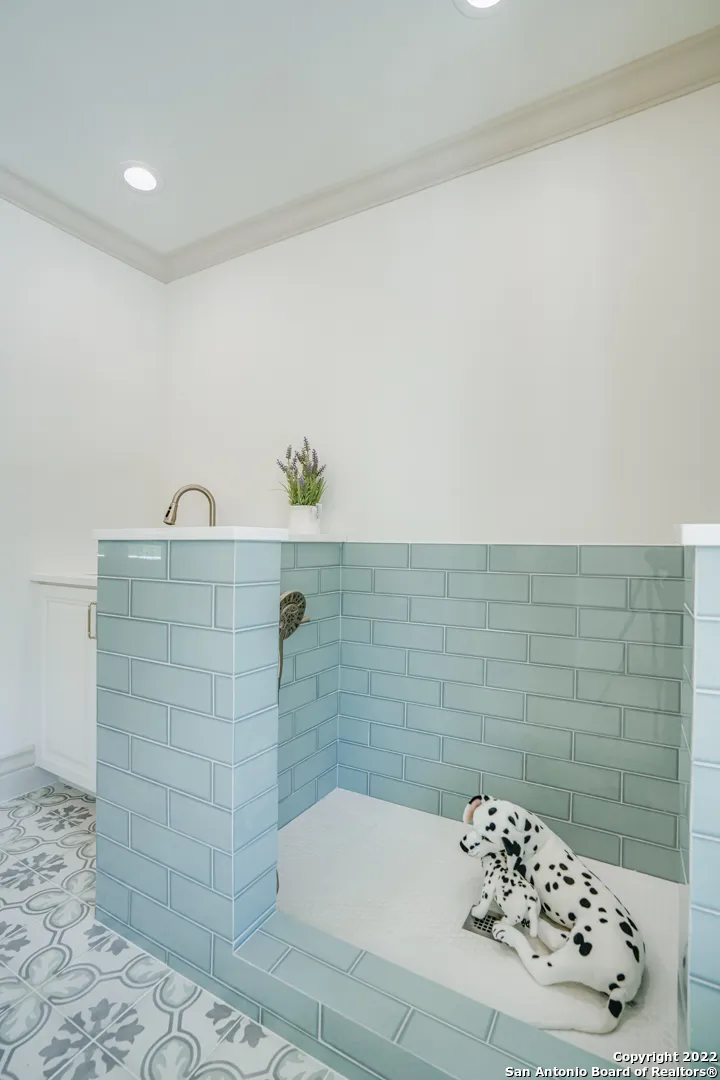 Custom dog bath remodel close-up with sage green subway tile surround and showerhead in Castle Hills San Antonio TX
